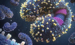 Torovirus
